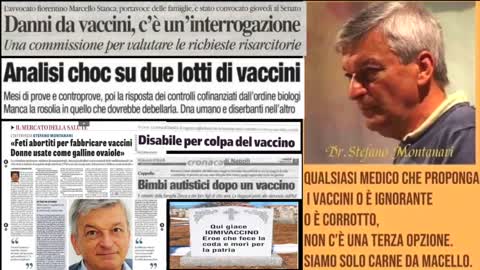 Una triste carrellata che non vorremo vedere, ma che tutti devono sapere