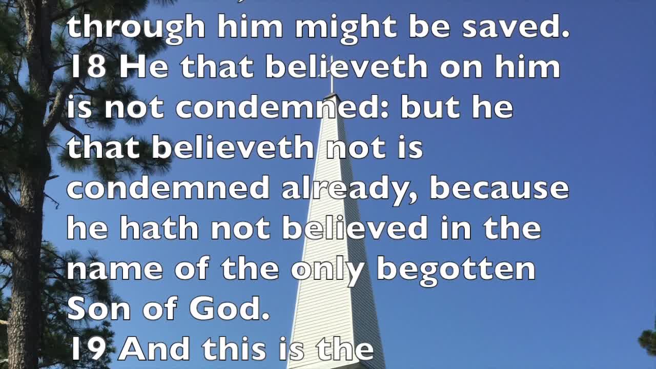 The Light Will Reveal The Dark - November 15, 2020