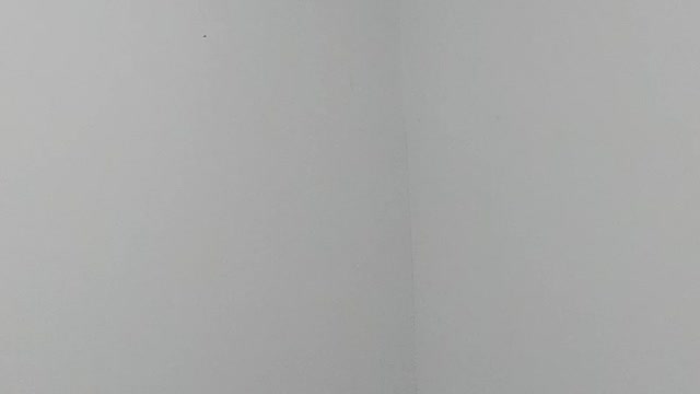 Biden wants voters to judge his energy level, not age