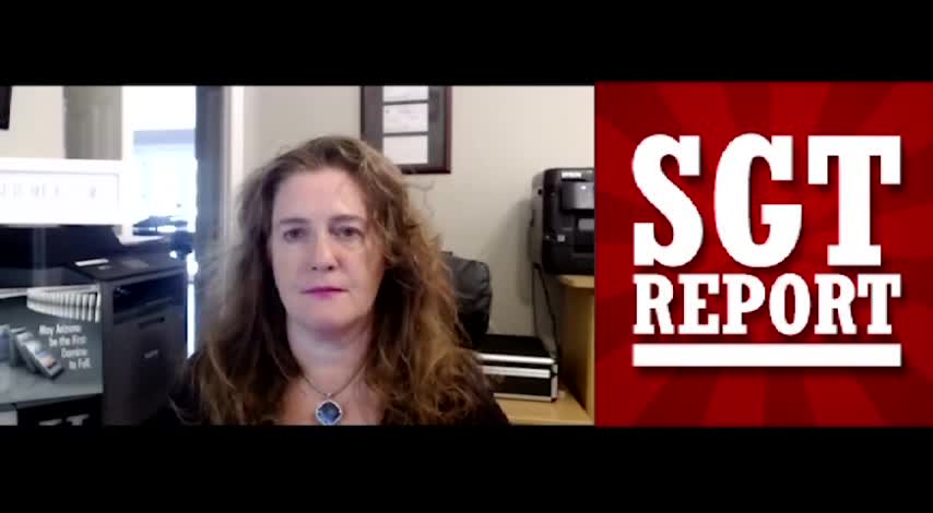 (SGT REPORT) D'S PANIC & CRIMINAL COVERUP: AZ FORENSIC AUDIT -- LIZ HARRIS.