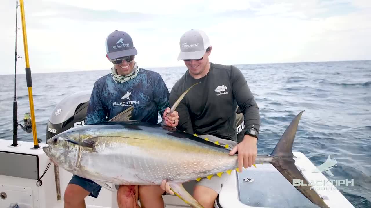Monster Yellowfin Big Fish Tuna
