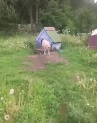 world gone crazy 🙈😂