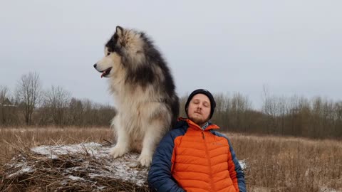 Man Posing with Alaskan Malamute Dog Outdoors