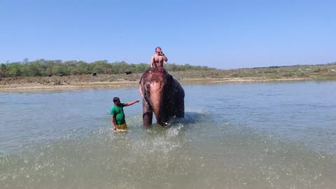 An Elephant Blowing Water While Standing on a Lake