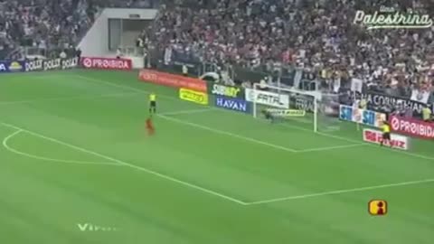 Kassia Poggi Despacito do verdão