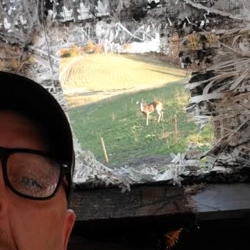 Deer's concept on hunting