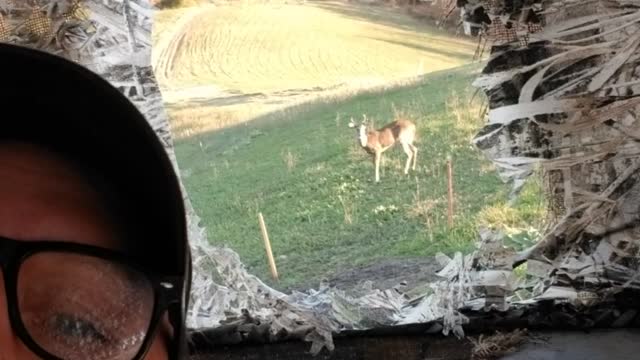 Deer's concept on hunting
