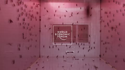 MUST SEE!! This London insect farm is changing the future of farming
