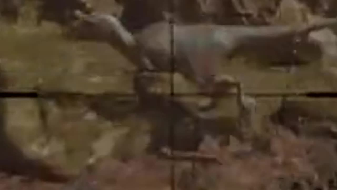 The Wilderness Encounter That CHANGED Everything!