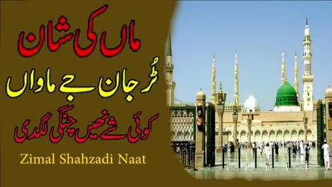 New MAA KI SHAN | Koi Shee nahi changi lagdi mar jaan j maawan | New Naat 2023 | Zimal Shahzadi Naat