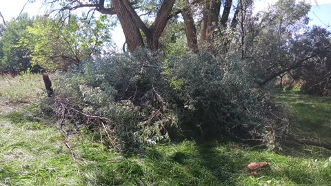 After Creek Clean-Up