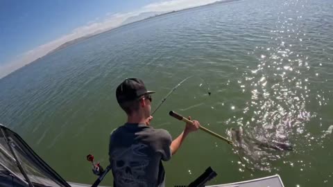 11-09-24 Suisun City, Ca - 1 Sturgeon 32”