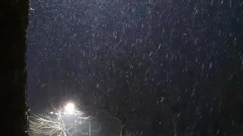 Beautiful snow comes