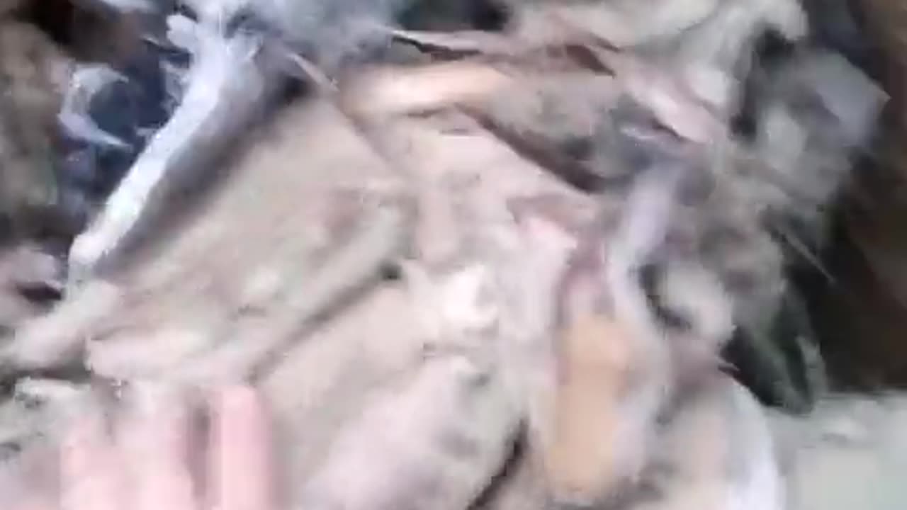 🇷🇺 Ukraine Russia War | AFU Fighter Reflects on Fallen Comrade | RCF