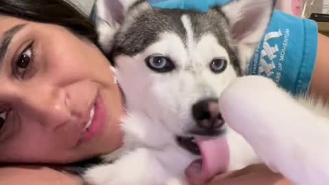 Cute dog funny dog and funny 😄