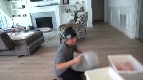 I Made A Train For My Dogs and was amazing