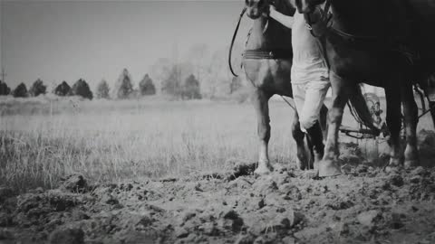 Farmer plowing a field with two horses. Black and white