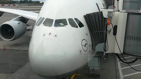 Huge plane