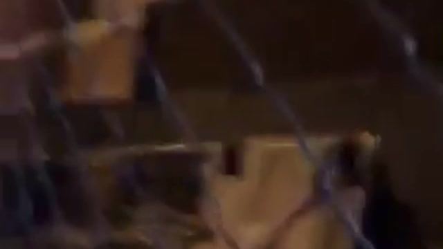 Girl throwing cone across a fence and breaking glass