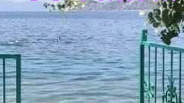 O Começo de Tudo...