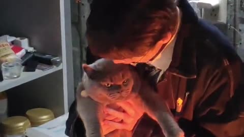 A broken-hearted person is cured by a cat