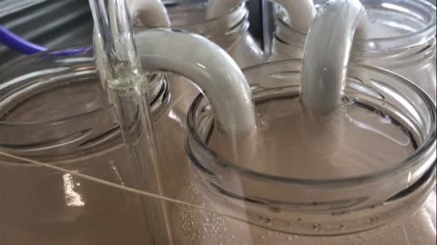 Experiment Trial 1