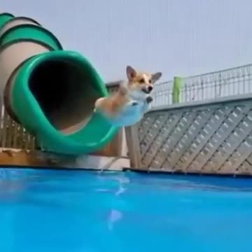 o think that they are not