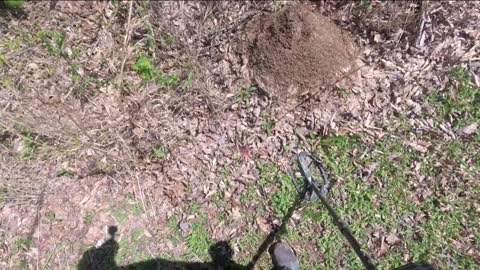 Metal detecting, Old pick, horse shoe and old bottles