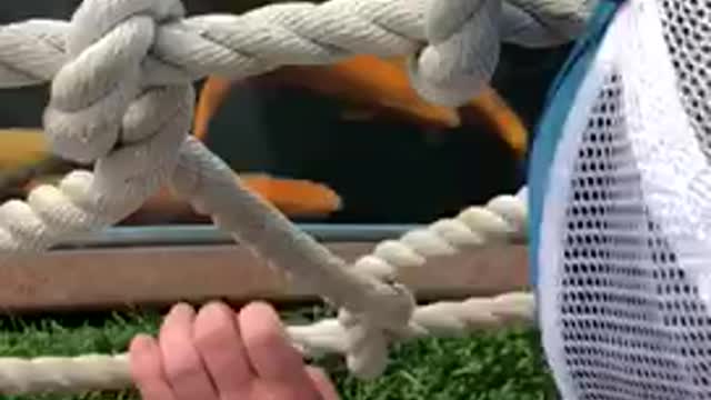 Beautiful fish and Russian People