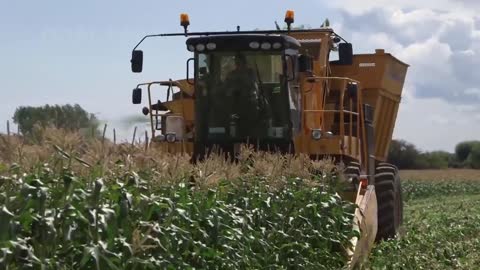 Learn Sugar beet, Sweet Corn, Onion Harvesting
