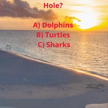 📜Exploring the Unknown Depths of the 🌟 Blue Hole ✨