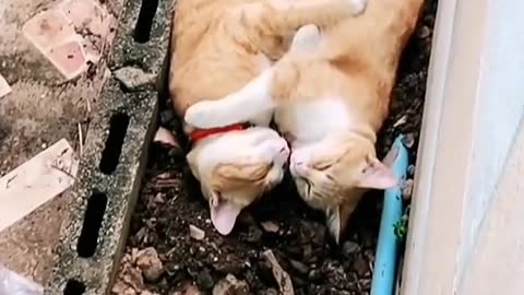Claws that hold the child, shovel shit until old