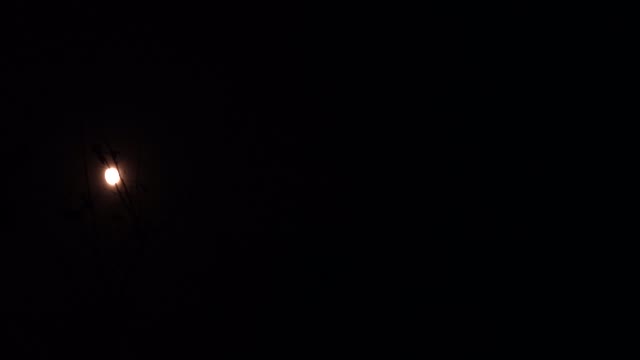 The moon shining brightly in the dark night sky. 2