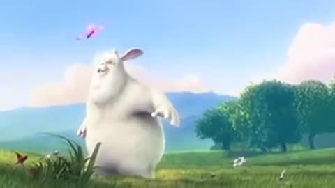 Funny rabbit's 10 sec video