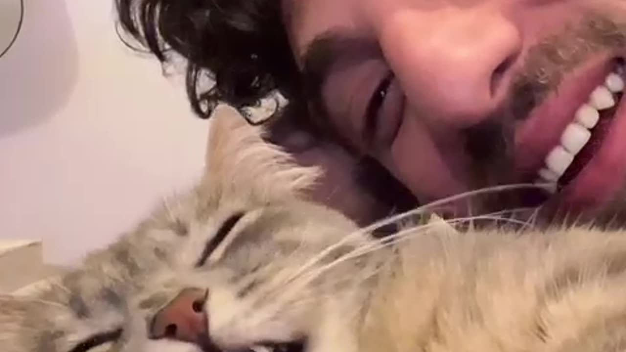 this is called love between cat & owner
