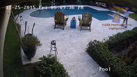 WATCH and TRY TO STOP1 LAUGHING - Super FUNNY VIDEOS compilation