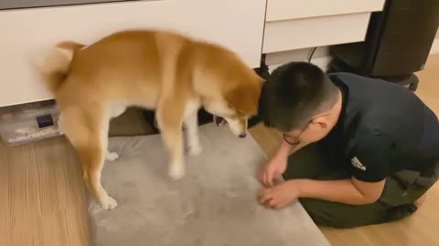 Let Me Help You Boy ..... 👦 🐶 🤣 😂