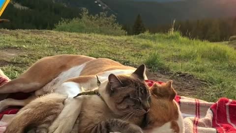 Lovely friendship