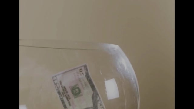 Funny cat video playing with money