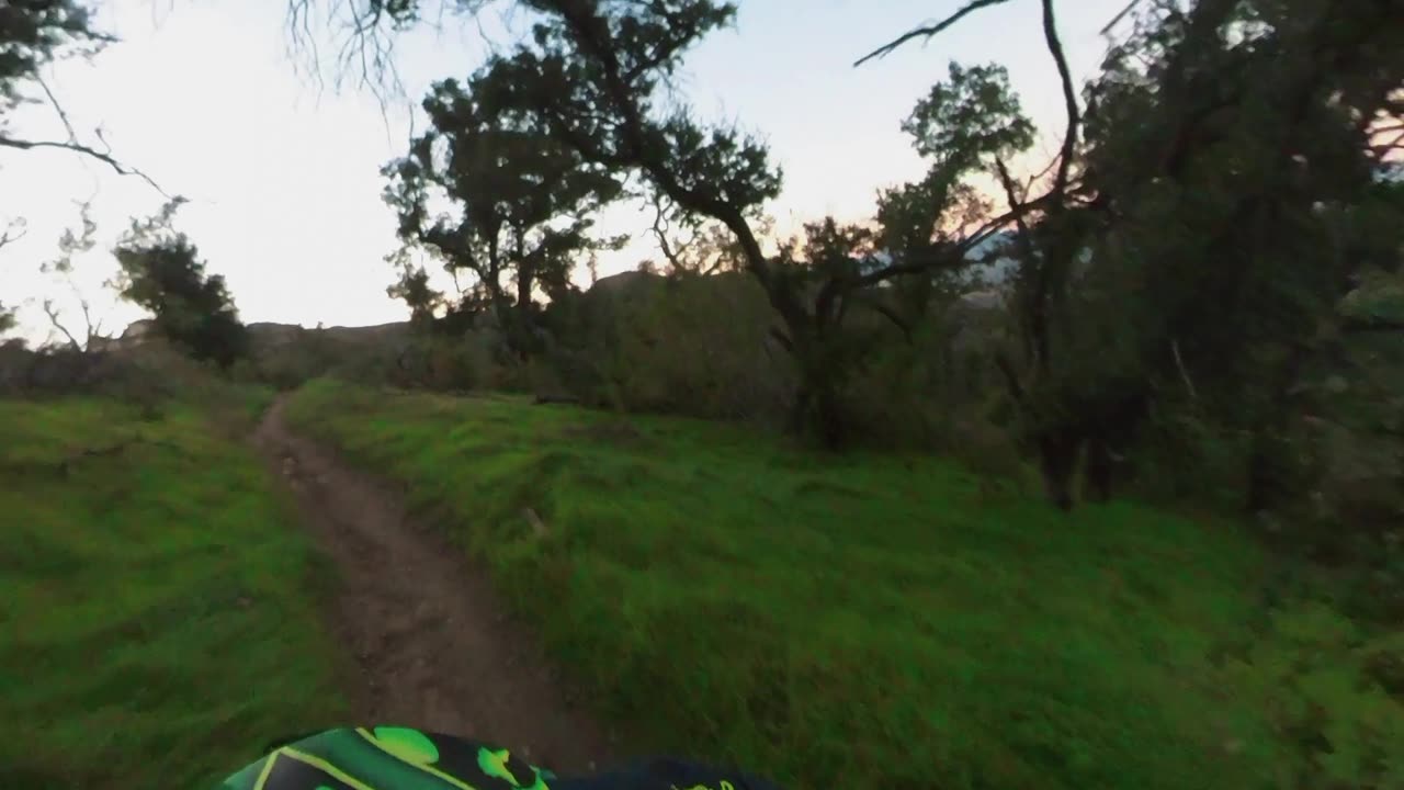 Moto Showtime!