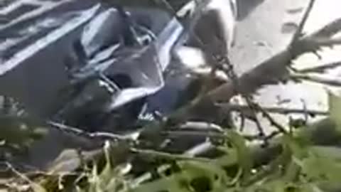 Video: Árbol cayó sobre un motociclista en el centro de Bucaramanga