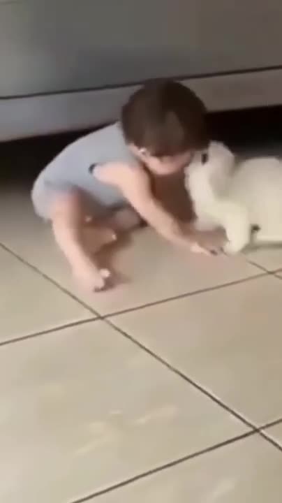 Top Cutest Chubby Baby on the Planet - Funny Baby Videos || Kudo Baby