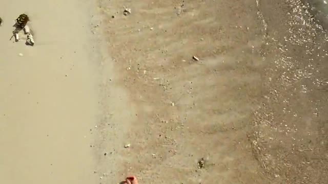 A Woman Walking Along The Seashore