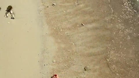 A Woman Walking Along The Seashore