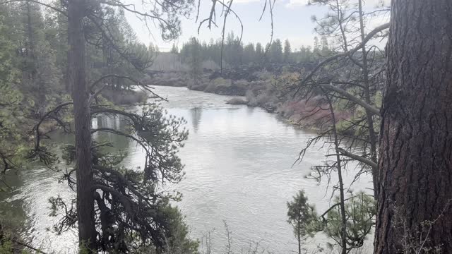 Overlooking the Beautiful National Wild & Scenic Deschutes River – Central Oregon – 4K