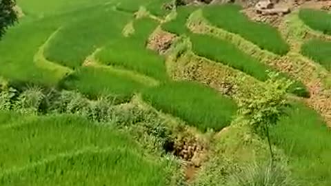 Village Tour / Village Travel / Most Beautiful Village Tour & Travel