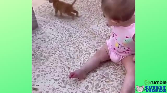 Baby playing with kitten