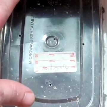 Chinese Takeout Seed Starter