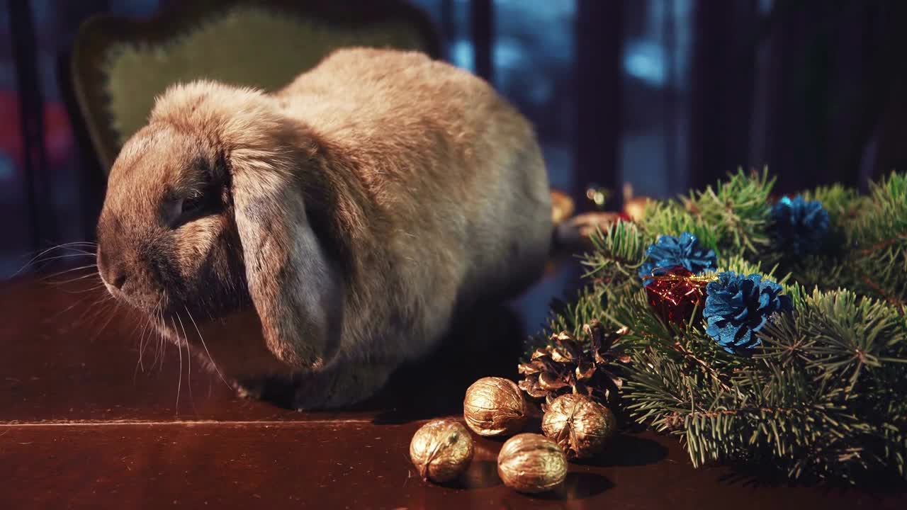 Crop hands close shot of making decorative wreath on table with rabbit sitting near