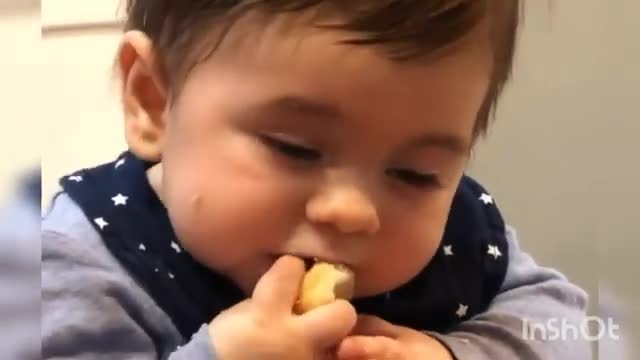 BEBÊS ENGRAÇADOS! - FUNNY BABIES!